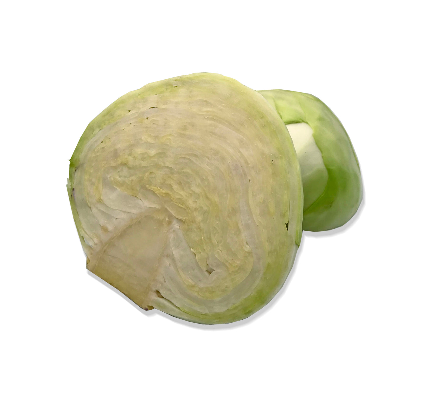 Half White Cabbage