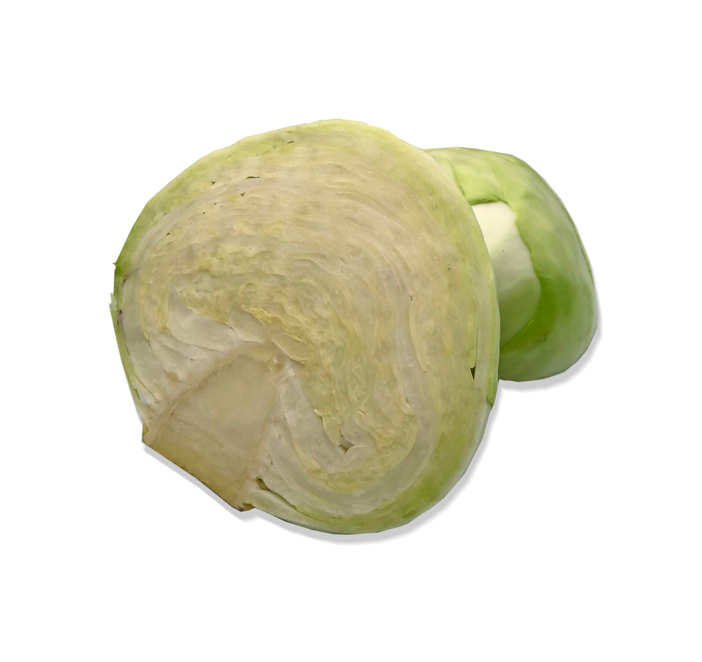 White Cabbage