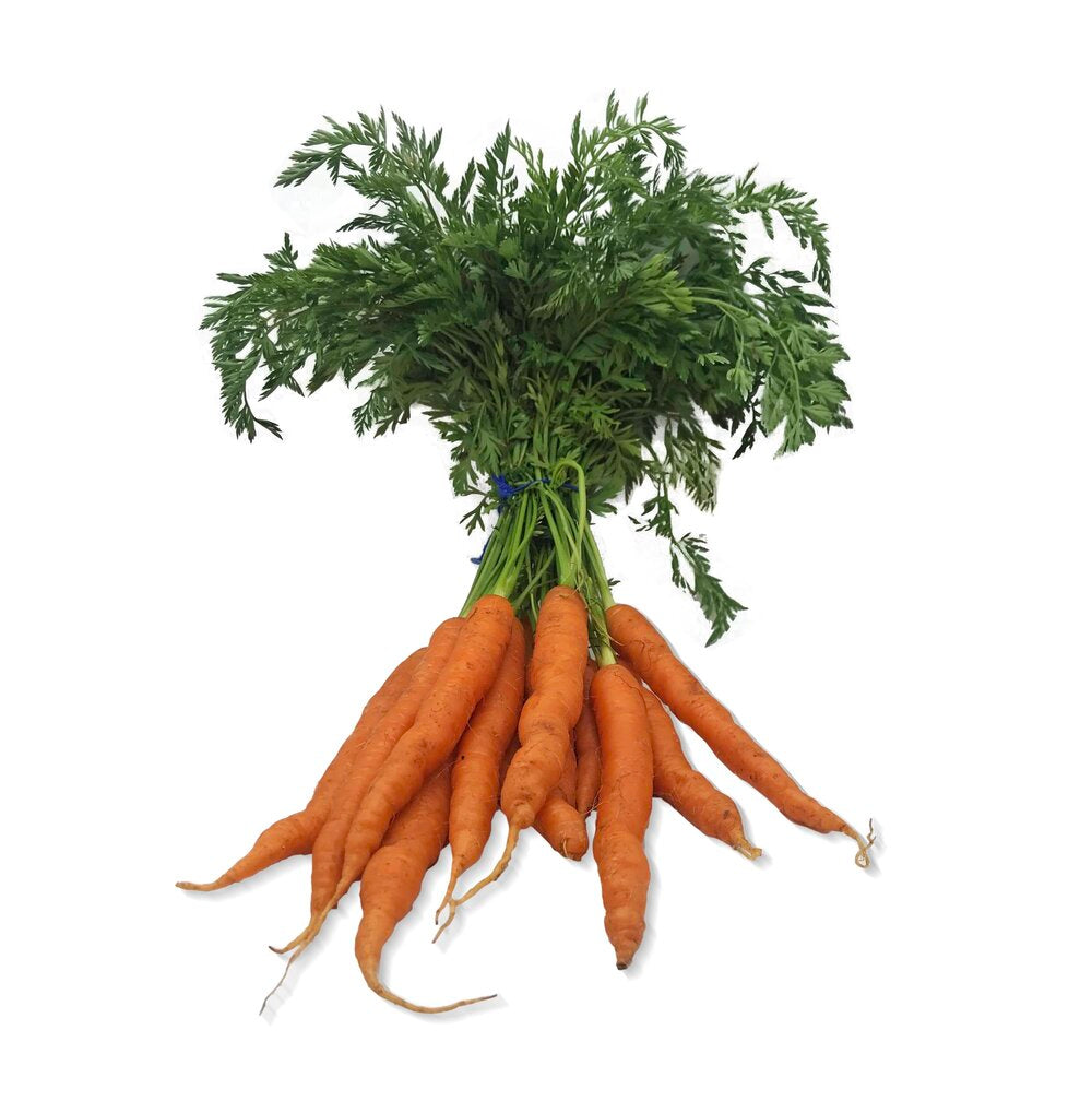 Bunched carrots